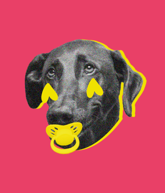 Genitori perfetti? anche&nbsp;no.